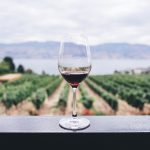 A glass of red wine with a vineyard background