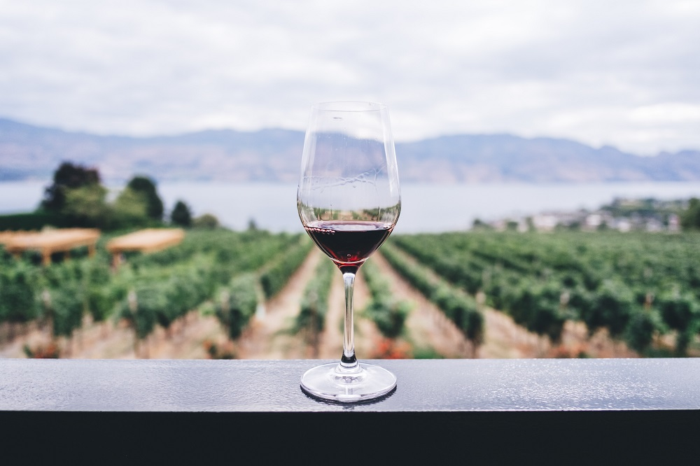 A glass of red wine with a vineyard background