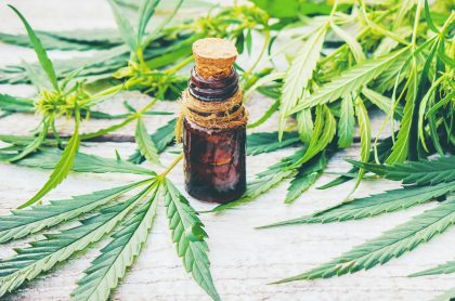 Cbd oil for pain, diet and cancer