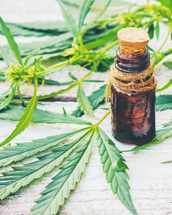 CBD oil with hemp leaves